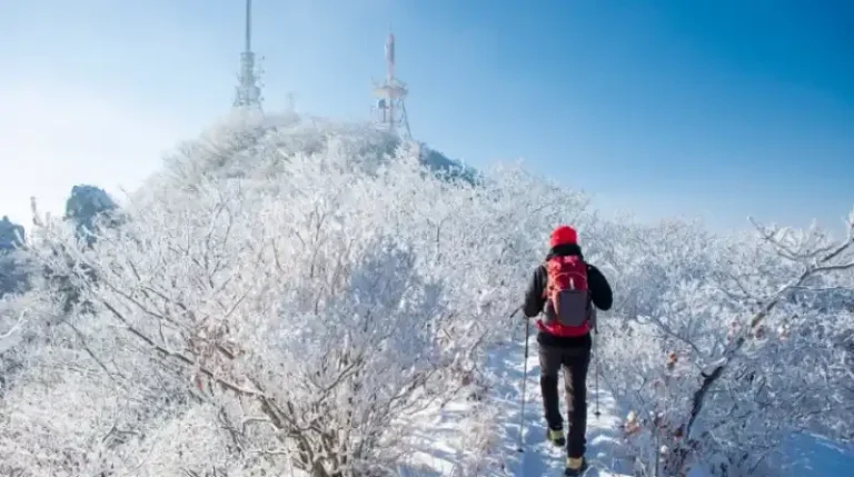 구미 금오산 유래와 등산 꿀팁 총정리