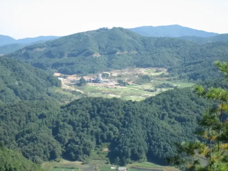 임야 개발 가능 여부 확인법 — 10년 차 부동산 실무자가 직접 겪은 산지전용허가의 현실